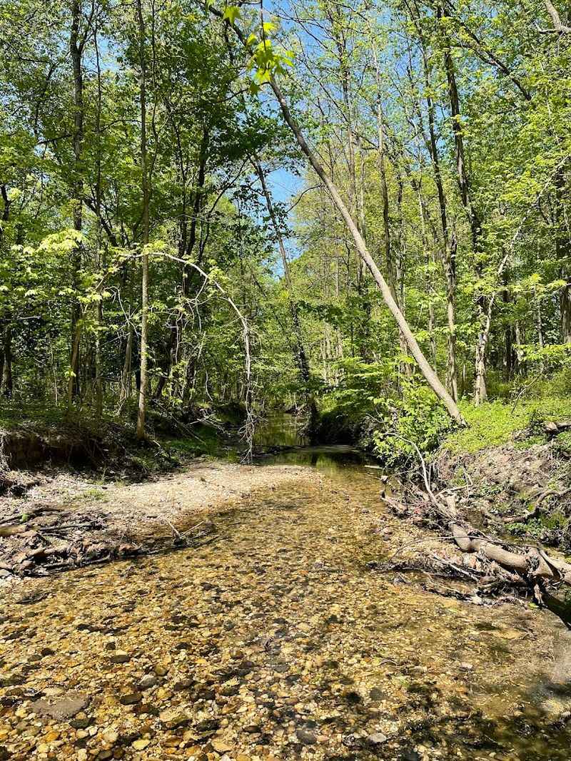 The Creek Itself: Where the Sound Does All the Talking The Creek Itself: Where the Sound Does All the Talking