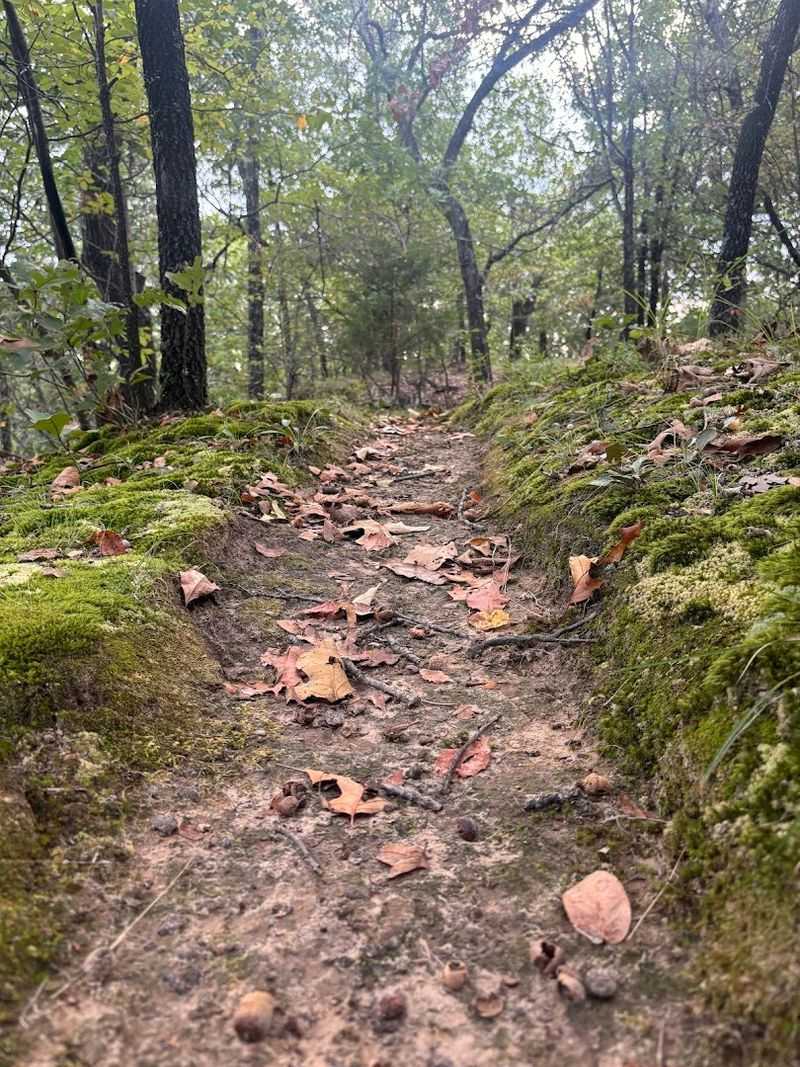 The Setting That Feels Worlds Away From the City