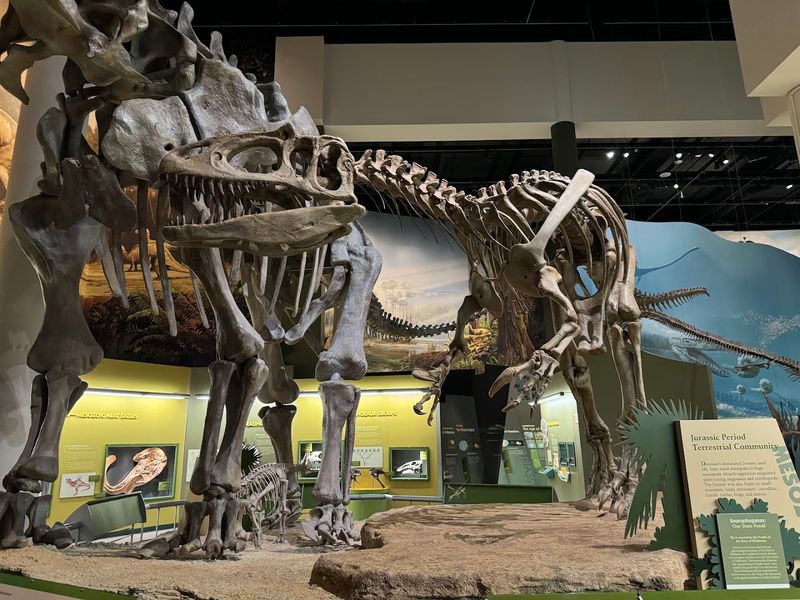 The Dinosaur Hall That Steals Every First Impression