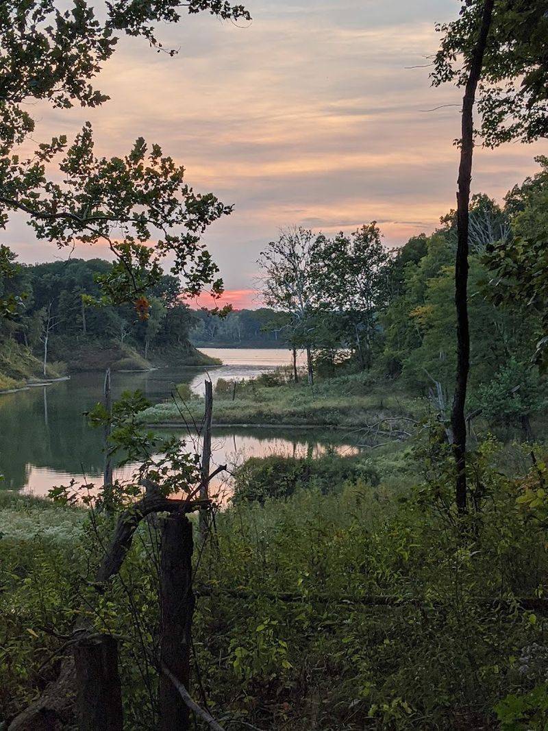 Tranquil Shorelines That Stay Quiet Even When Summer Gets Loud