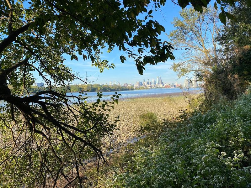 A 350-Acre Island Hidden in Plain Sight