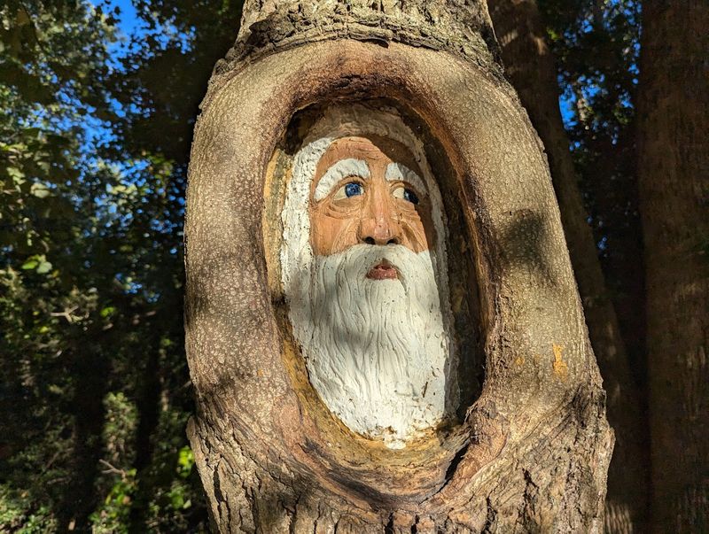 The Artist Behind the Magic: Who Is Tom Rhodes?