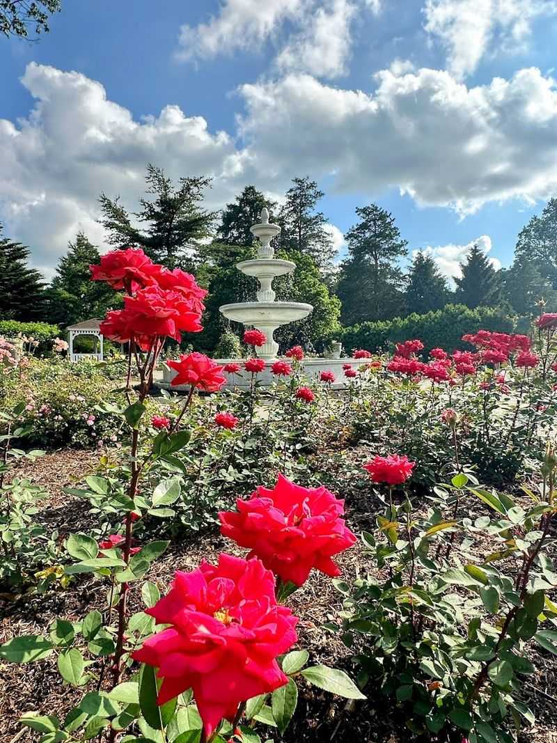 The Rudolf W. van der Goot Rose Garden: A Living Rainbow in Summer The Rudolf W. van der Goot Rose Garden: A Living Rainbow in Summer