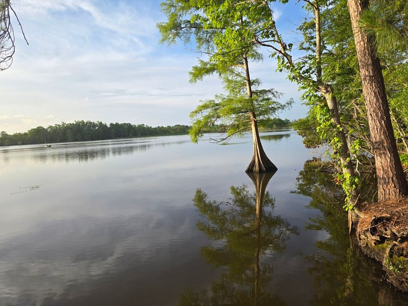 The Sandy Creek Paddling Trail: The Longest Route in the Park