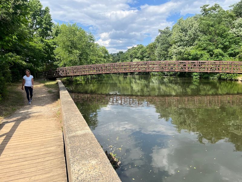 A Pedestrian Crossing That Actually Deserves the Spotlight