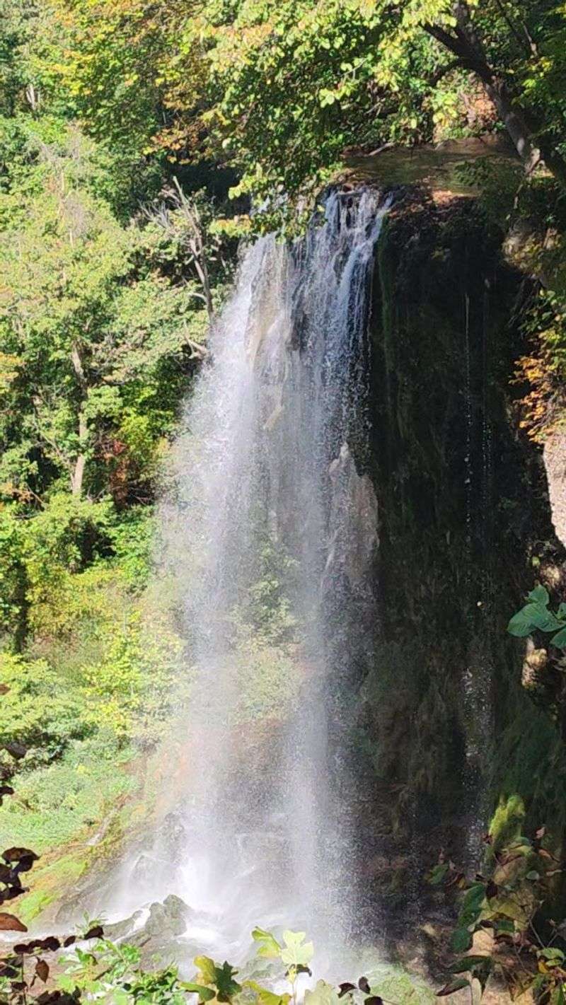 A Waterfall That Practically Jumps Out at You