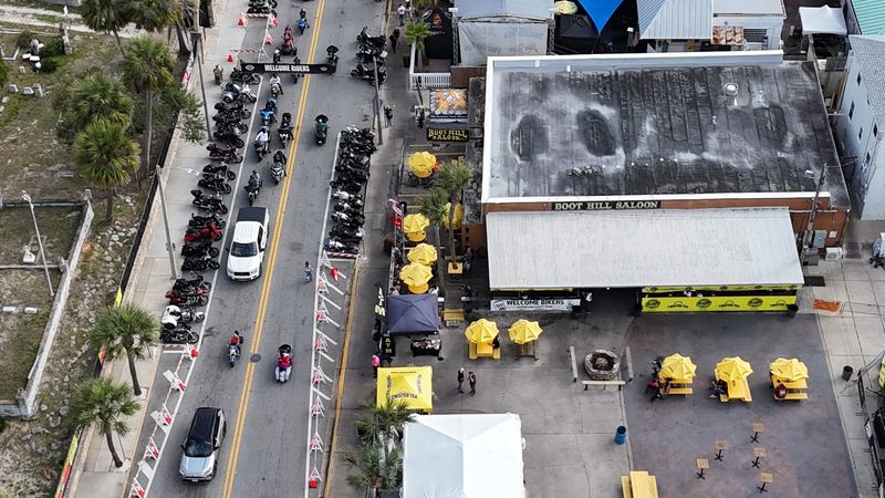 A Main Street Fixture With Wild Appeal