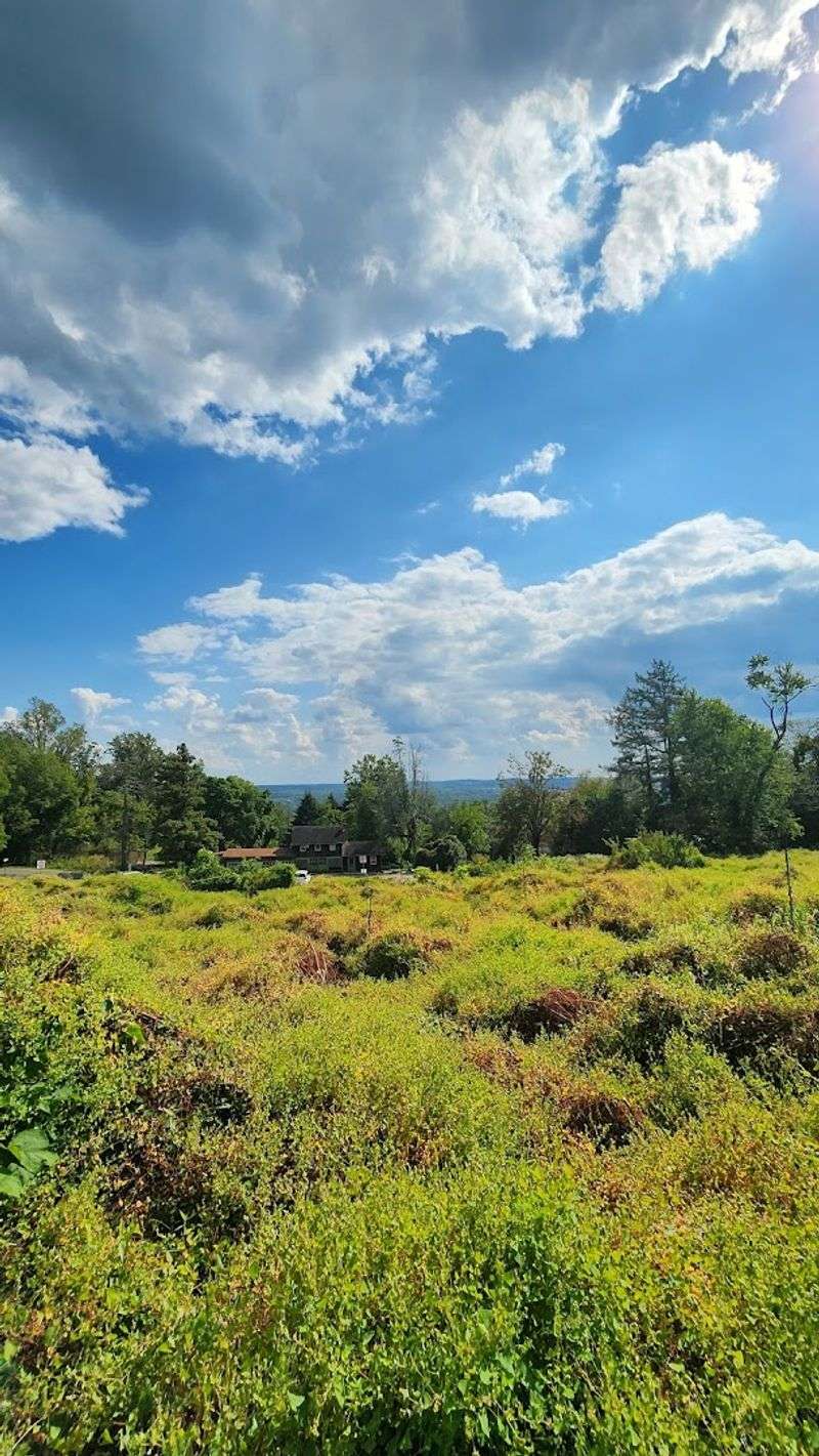 The Ridge Trail and Its Jaw-Dropping Views