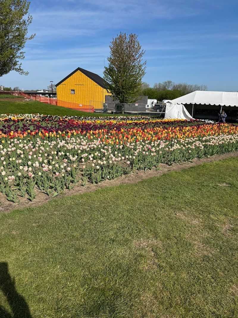 Michigan Spring Looks Best Right Here