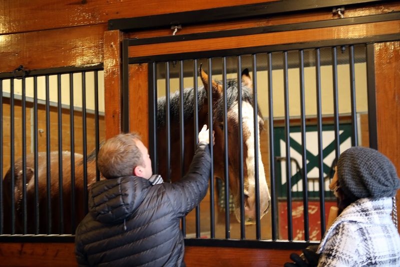 A Family Attraction Built For Lingering