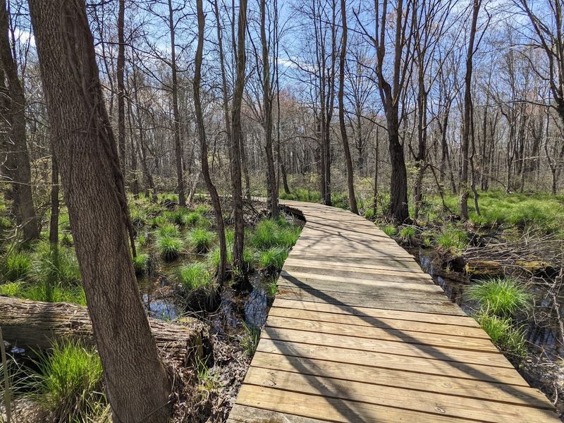 The Boardwalk Experience That Changes Everything