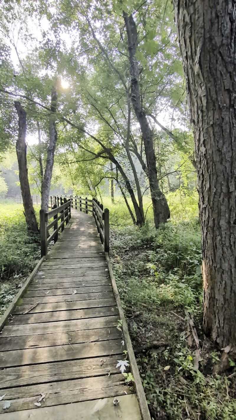 The Boardwalk Trail That Walks You Into Another World