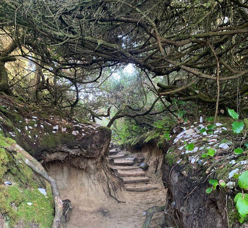The Hobbit Trail: Where the Magic Begins