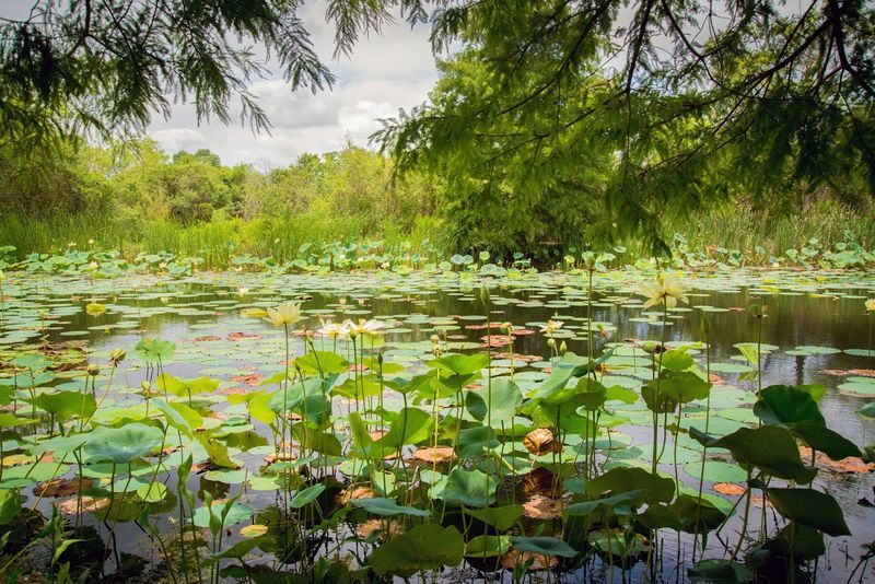 No Fishing License Required: How This Loophole Actually Works