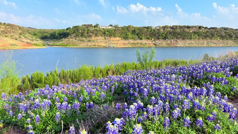 A Lake View That Changes Everything