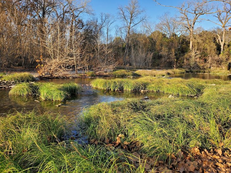 The Trail Itself: Short, Sweet, and Surprisingly Packed