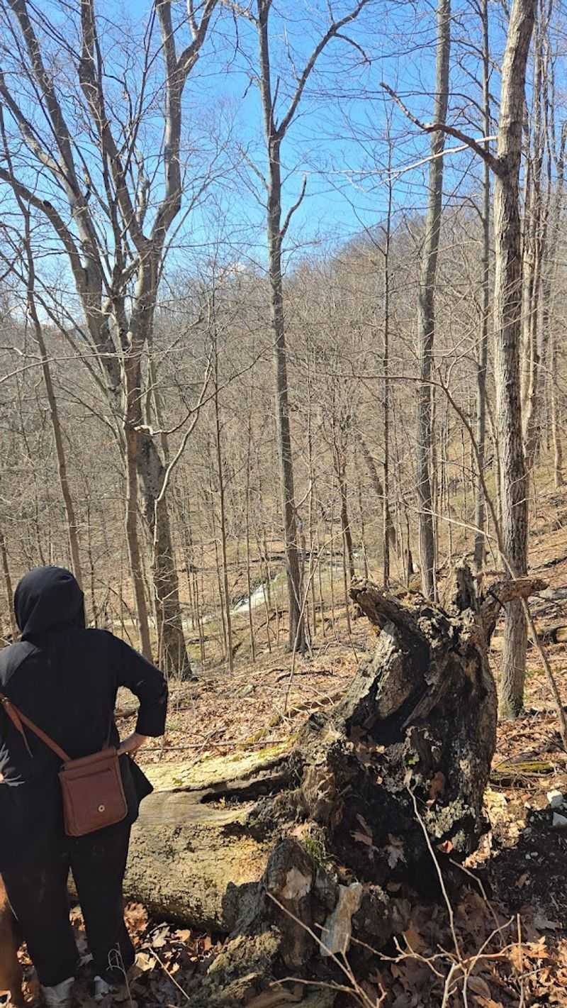 The 170-Foot Stair Climb That Makes the Whole Adventure Worth It