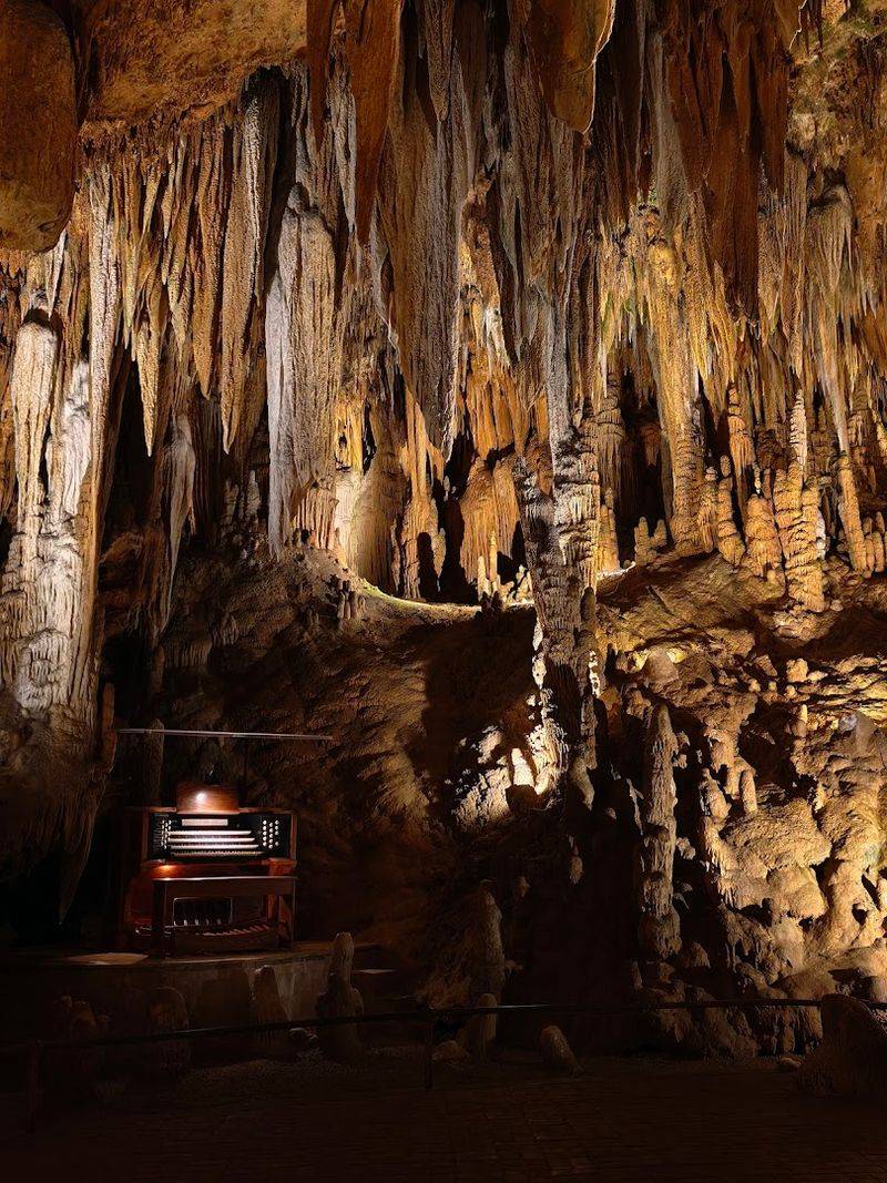 The World Record That Lives Underground