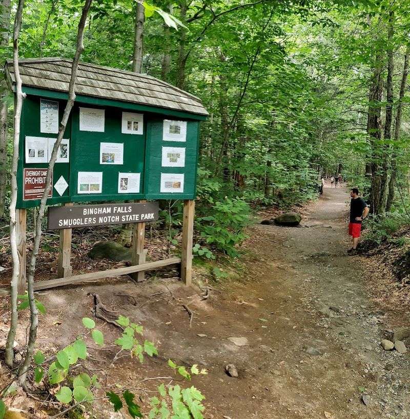 The Early Morning Rush For That Perfect Parking Spot