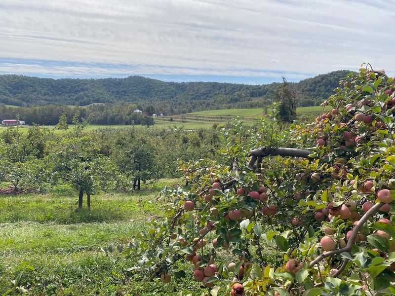 A Legacy Rooted in Colonial Virginia