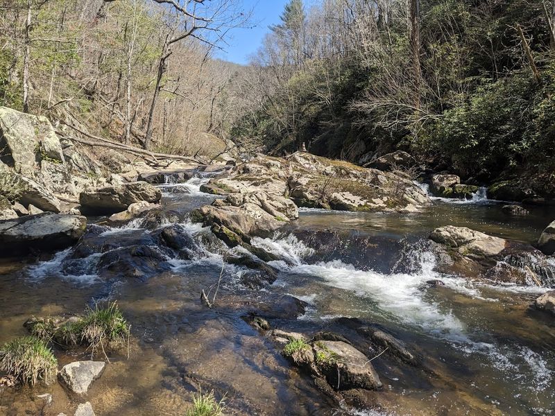 The Fish Diversity That Makes Scientists Do a Double Take