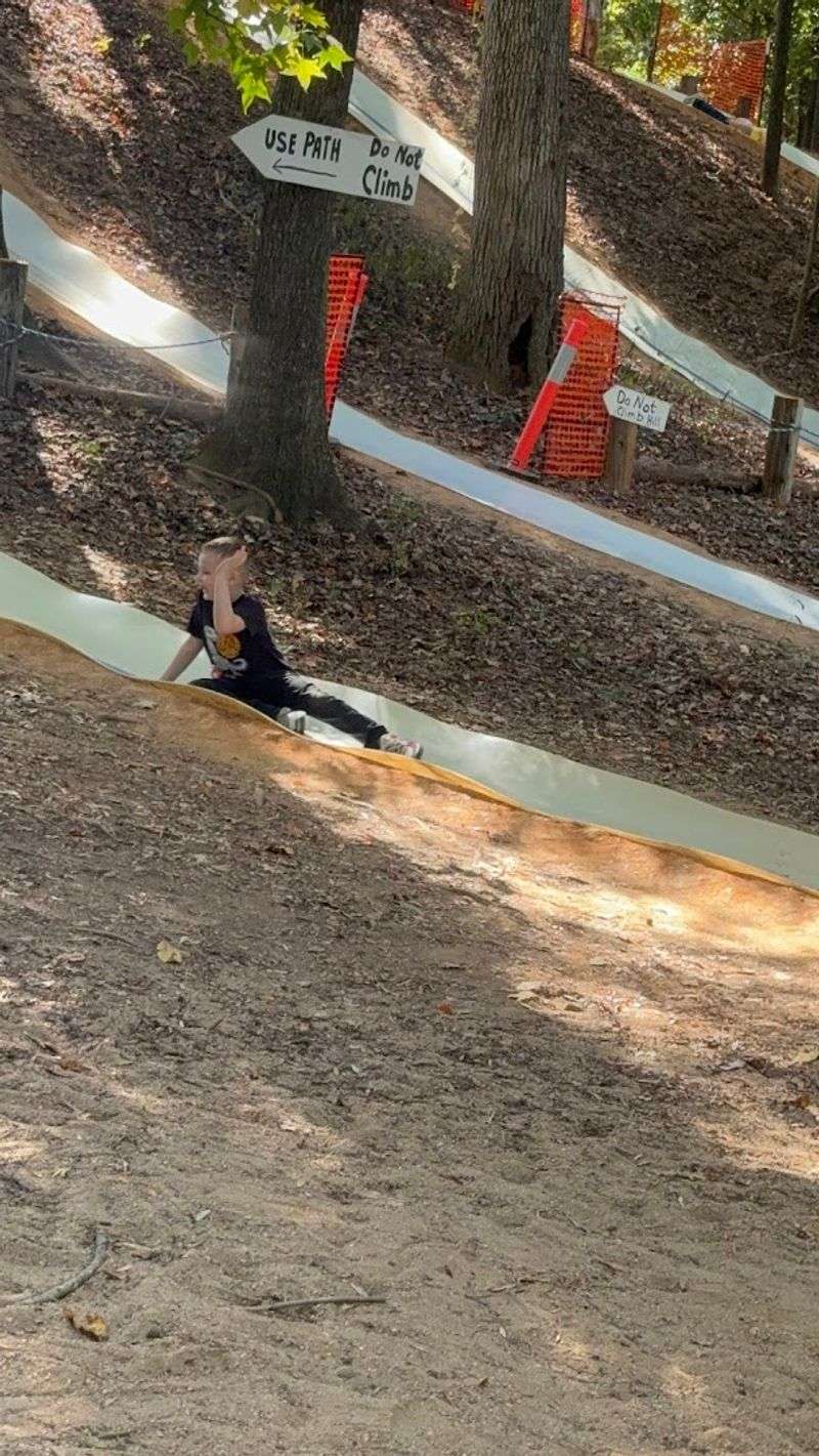 The Legendary Mountain Slides That Started It All