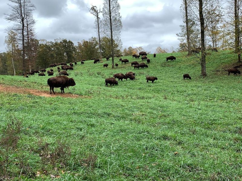 The Farm That Started It All