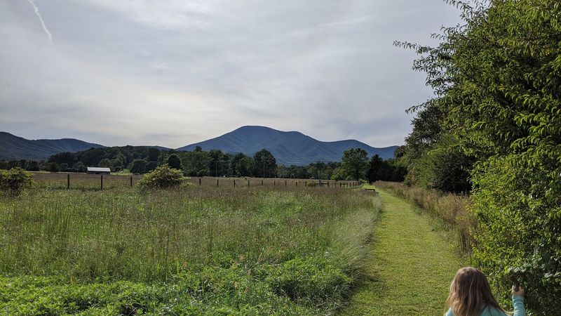 The Nelson Scenic Loop: Virginia's Most Thrilling 50-Mile Circuit
