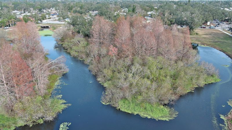 The Invisible Enemy: How Invasive Plants Are Taking Over