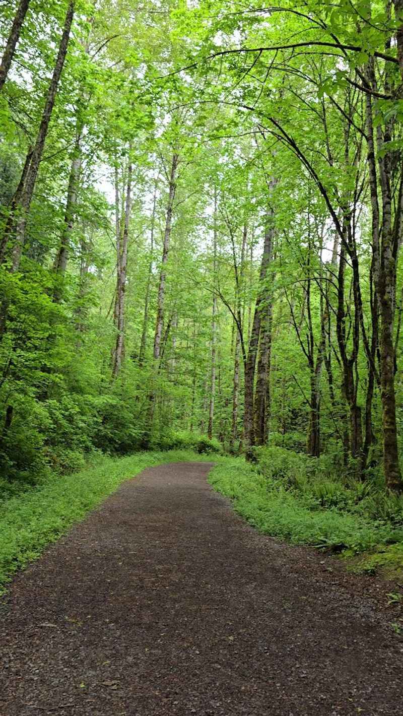 The Coal Mining Roots That Built Red Town
