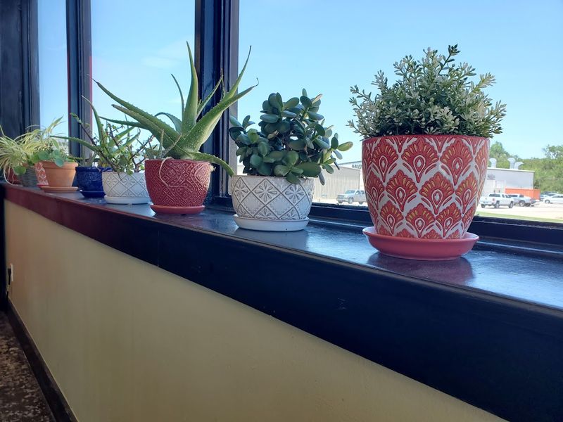 A Hidden Gem That Earns Its Reputation