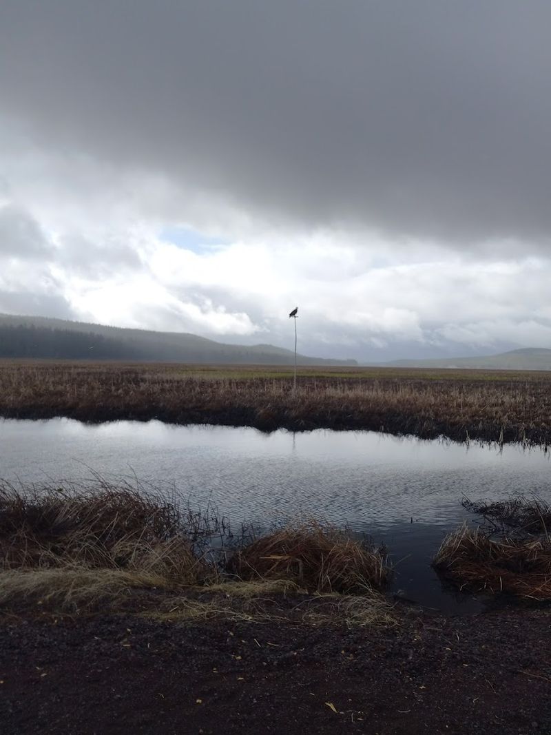 The Hidden Boardwalk Most Travelers Never Find