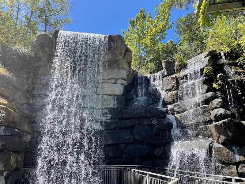 The Quicksilver Coaster Through A Forest