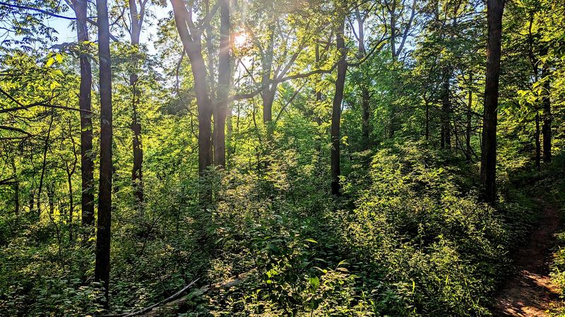 Rock Climbing Wall and Outdoor Activities