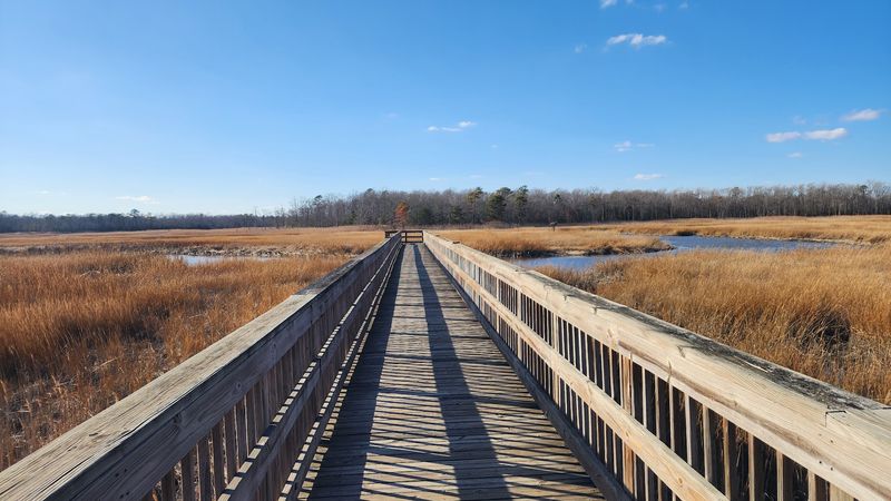 The Boardwalk Overlook That Stops You Mid-Sentence