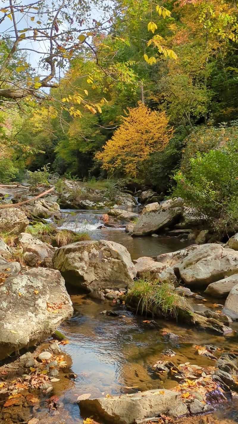 The Gorge Geology That Took Millions of Years to Build