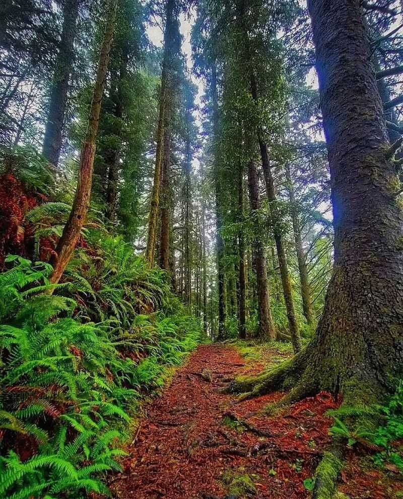 What to Pack for the Hike