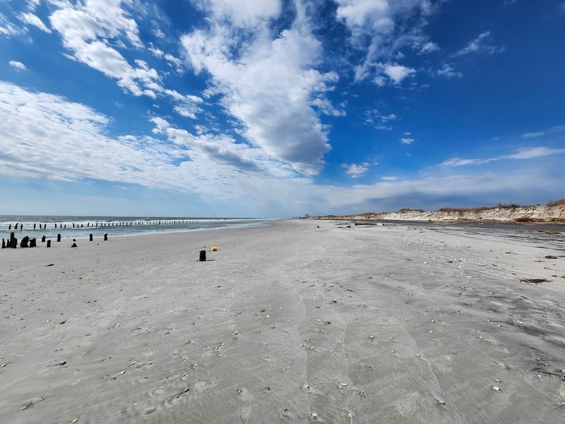 The Wild Beach Where Swimming Is Not the Point