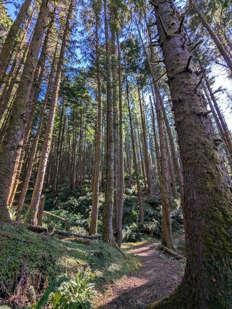 Captain Cook Trail: Walking Through Coastal History