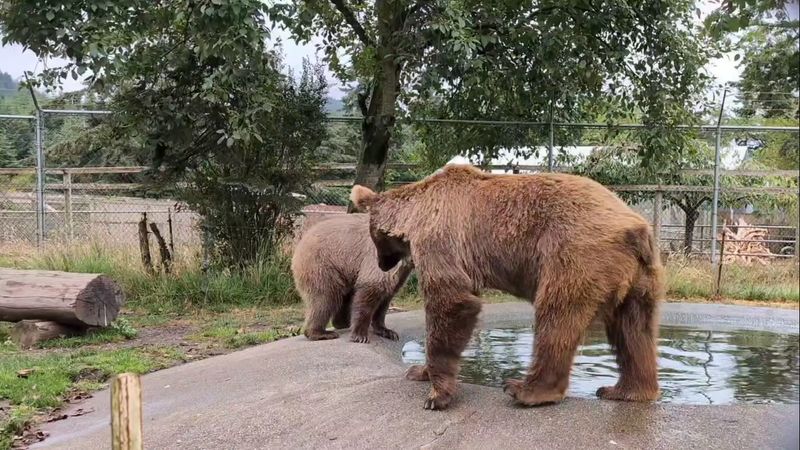Why West Coast Game Park Safari Is Worth the Stop