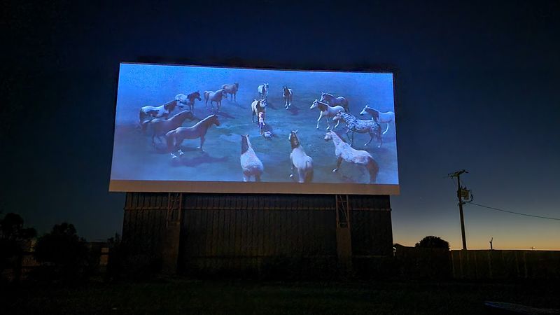 First-Run Films That Keep the Crowds Coming Back