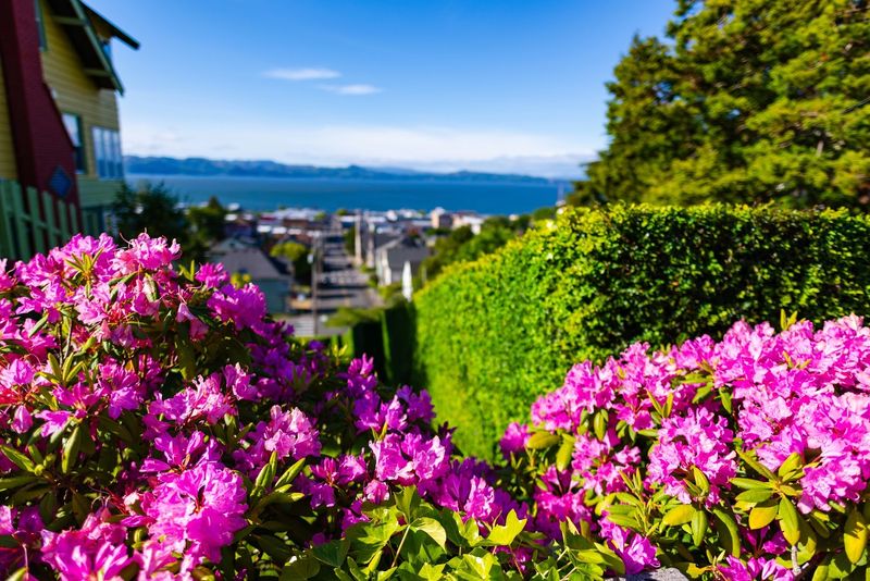 Best Time to Visit for Photos and Views