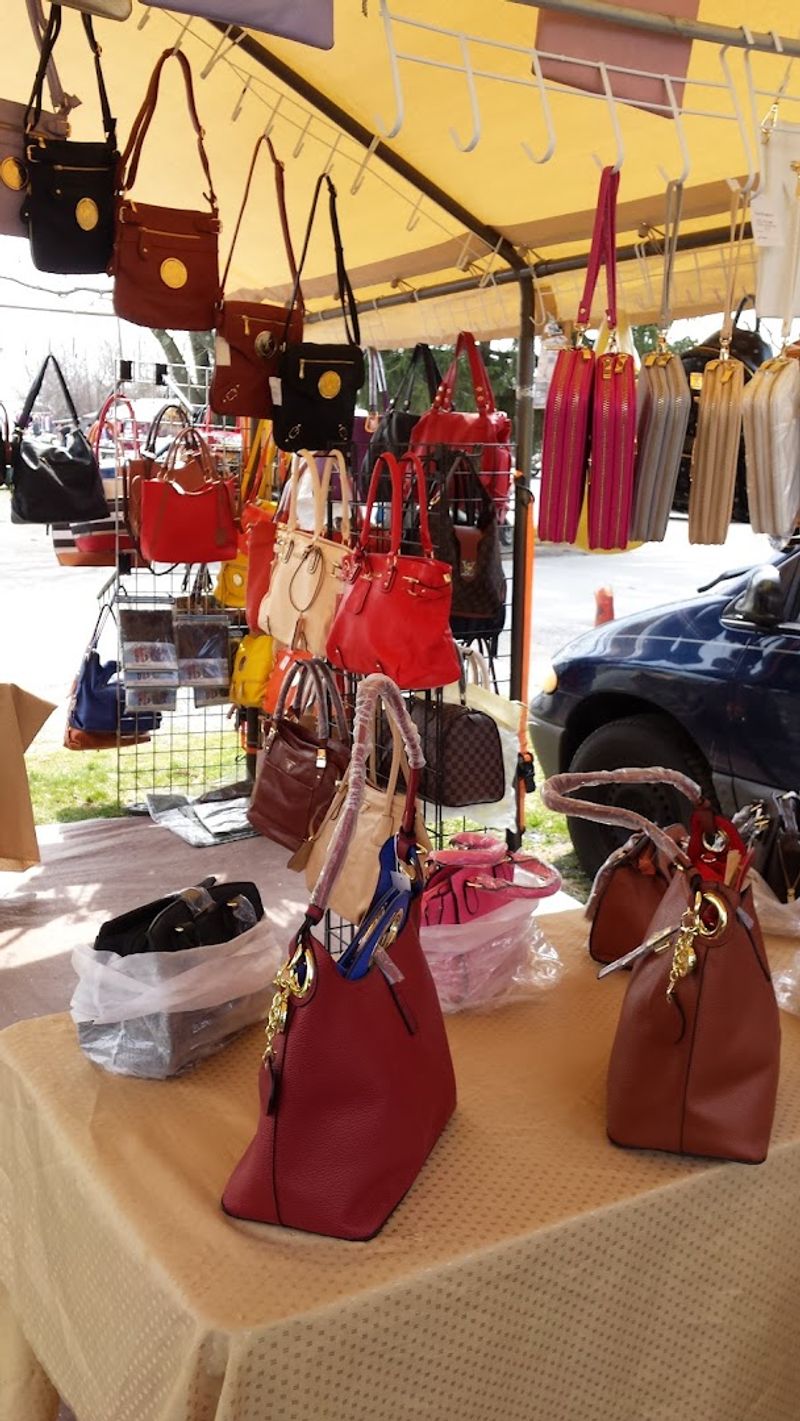 Clothes, Jewelry, and Accessories at Prices That Feel Almost Illegal