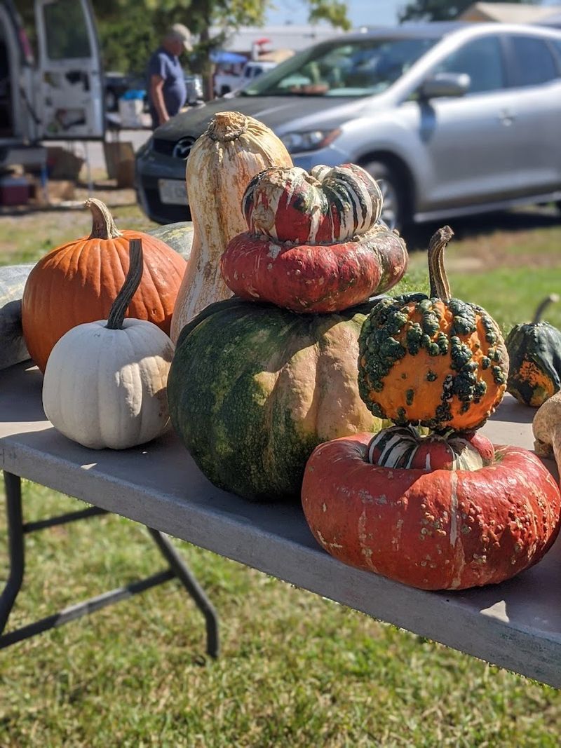 Plants, Live Animals, and a Touch of Farm Life