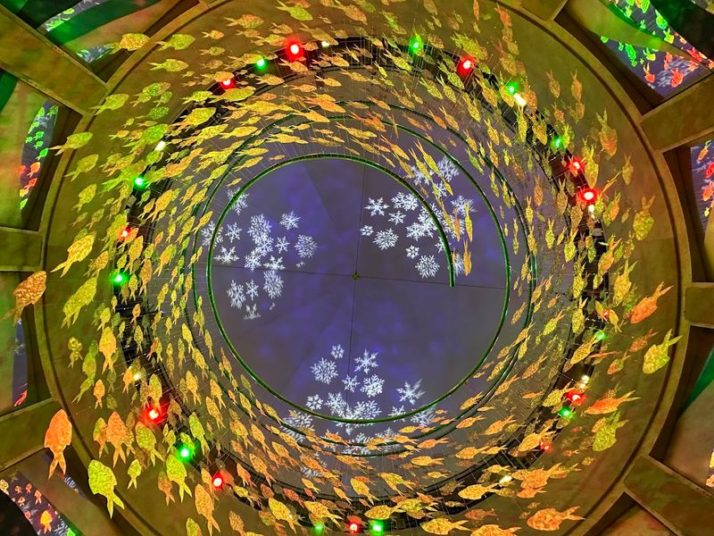 Kaleidoscope Cove: The Kids Area That Adults Will Also Love