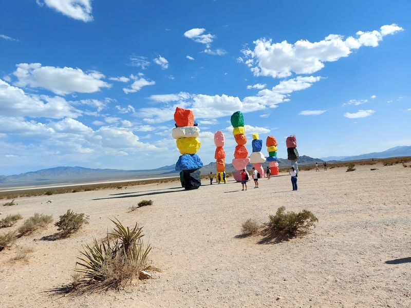 A Swiss Artist's Bold Desert Vision