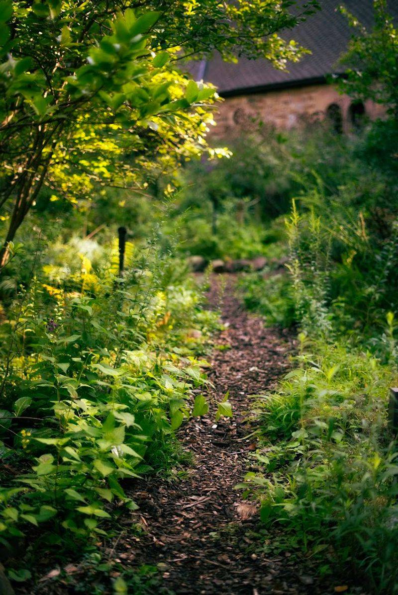 Miles of Winding Trails Through Glacial Terrain