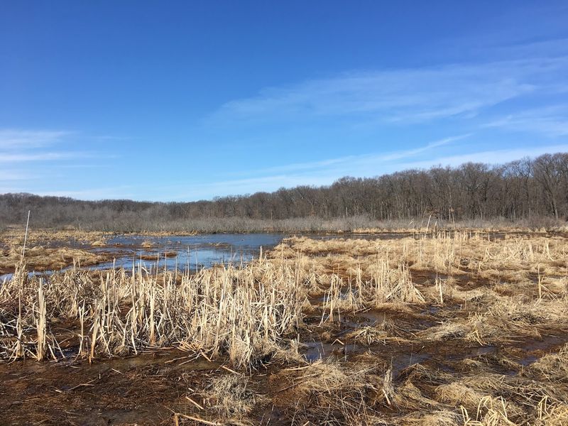 Cowles Bog Trail, Indiana Dunes National Park