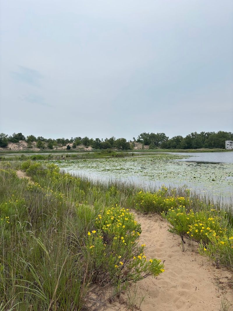Paul H. Douglas Trail at Miller Woods
