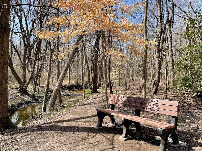 Eating Well Before or After the Trail in Moorestown Eating Well Before or After the Trail in Moorestown